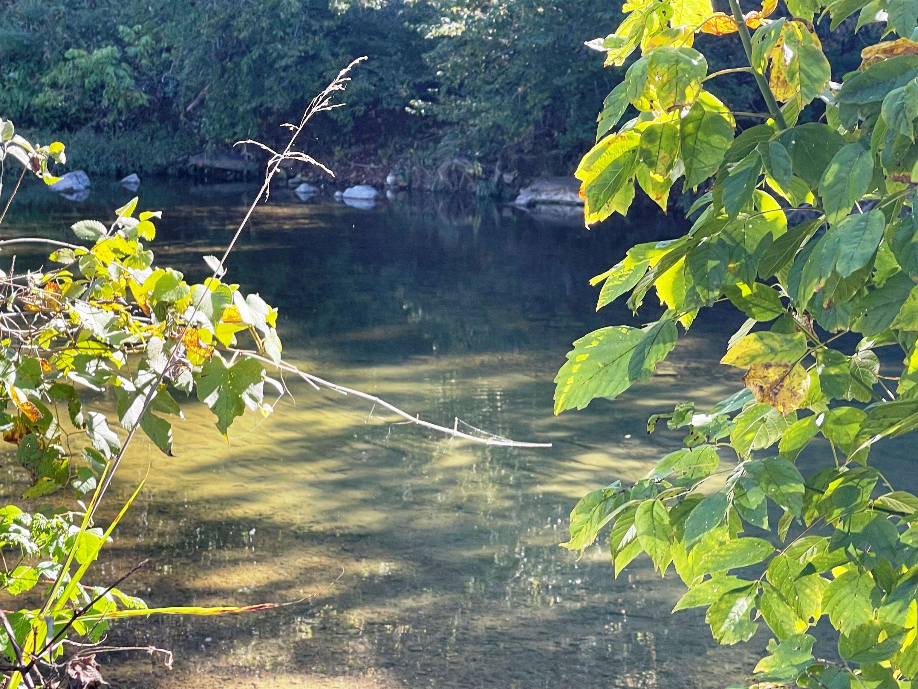 Nestled along the enchanting banks of Big Creek, this prime 13.5+ acre property promises a sanctuary of natural beauty and endless possibilities. Located just moments from the Big Creek Road bridge, this gem boasts an impressive approx. 882 feet of coveted creek frontage. Unparalleled Creek Frontage: With nearly 885 feet of pristine creek frontage, this acreage is a water enthusiast's dream come true. Ultimate Privacy: Embrace the serenity of your own secluded haven. There is 3+ acres enjoys exclusive company on the opposite side of the creek, ensuring maximum privacy. No Bill of Assurance has been found recorded requiring any restrictions. This property welcomes your vision, whether it's a tranquil weekend retreat for camping or the realization of your dream home. Versatile Topography: Lots 11-13 offer level terrain, providing easy access to the soothing embrace of Big Creek. Meanwhile, Lot 14, across the creek, commands a picturesque bluff view. This is more than land; it's an opportunity to create the life you've always envisioned. Explore the boundless potential and make this exquisite Big Creek property your very own. Reach out today for a personal tour.