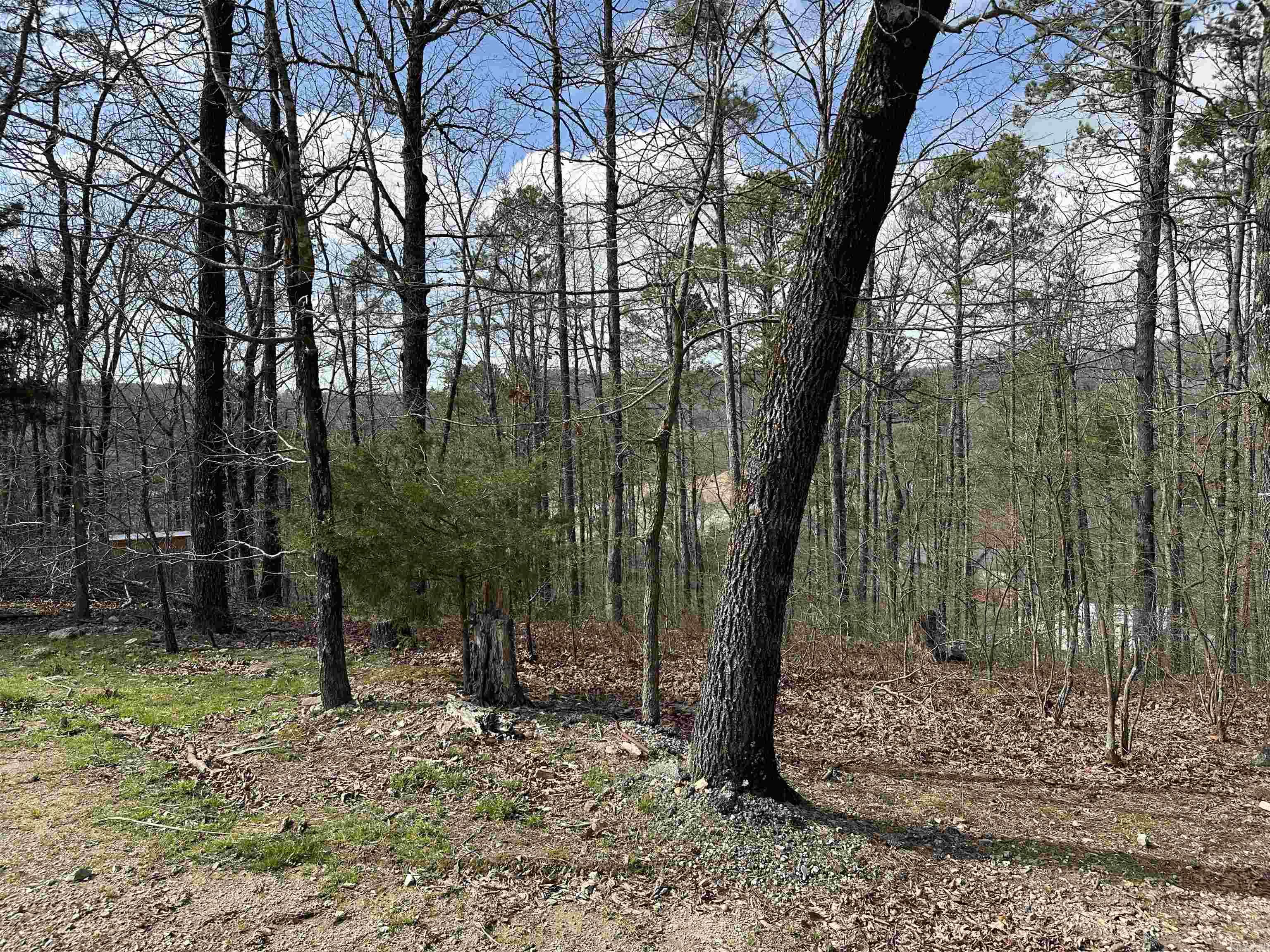 Wooded lot with fence close to town. In the county with no building restrictions. Power pole on the street is only existing utility. Fountain Lake school district. Slopes down.