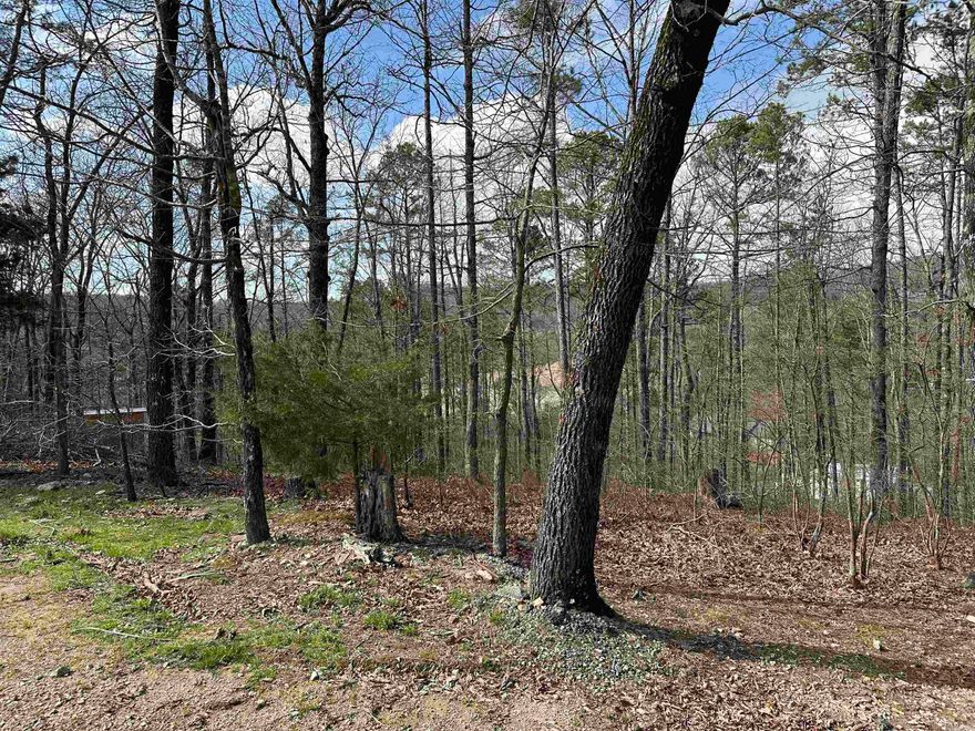 Wooded lot with fence close to town. In the county with no building restrictions. Power pole on the street is only existing utility. Fountain Lake school district. Slopes down.