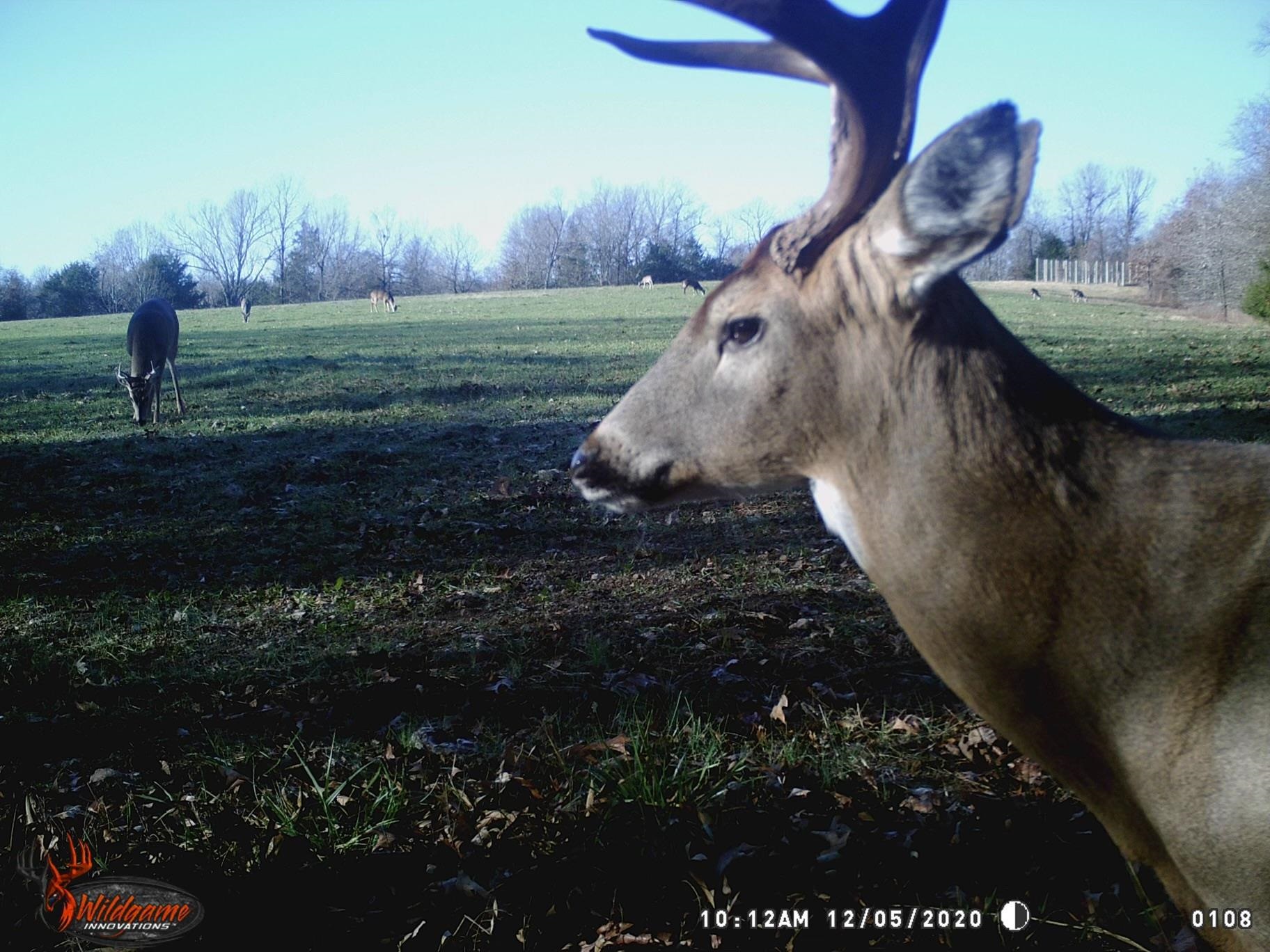 Not in Subdivision - Land