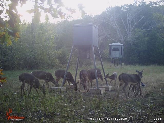 Not in Subdivision - Land