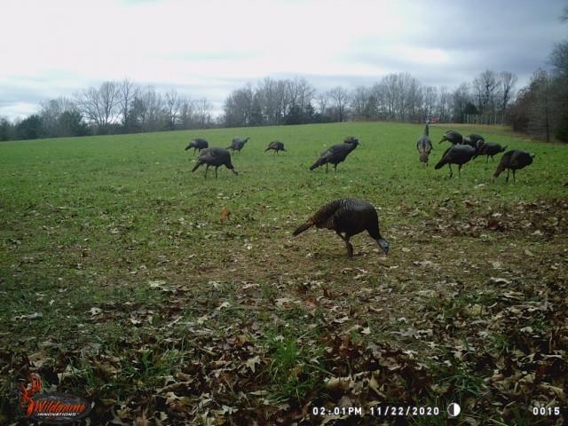 Not in Subdivision - Land