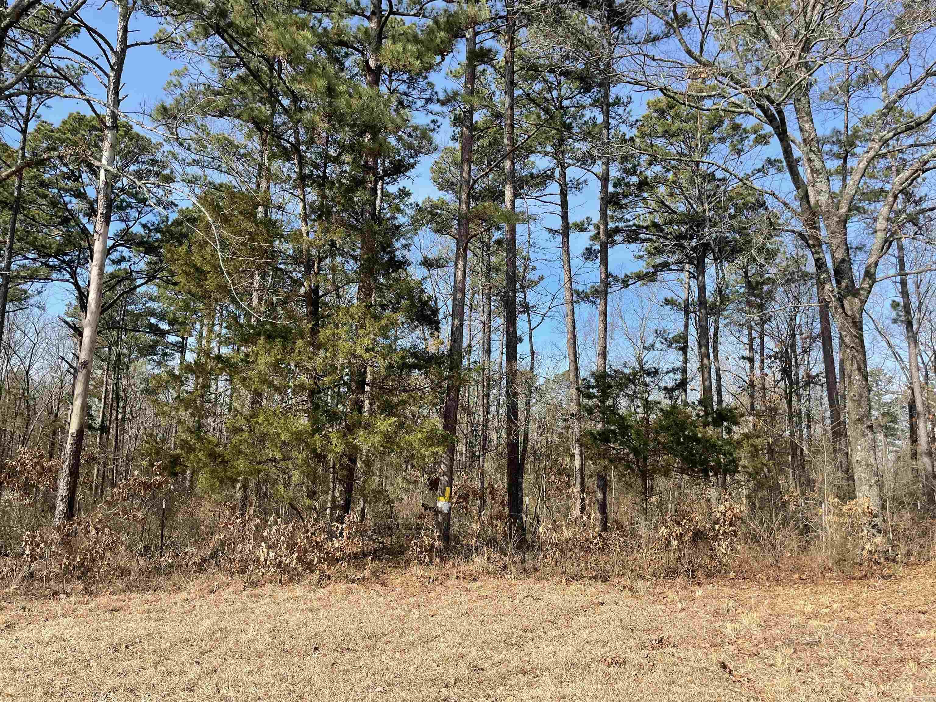 Tumbling Shoals - Land