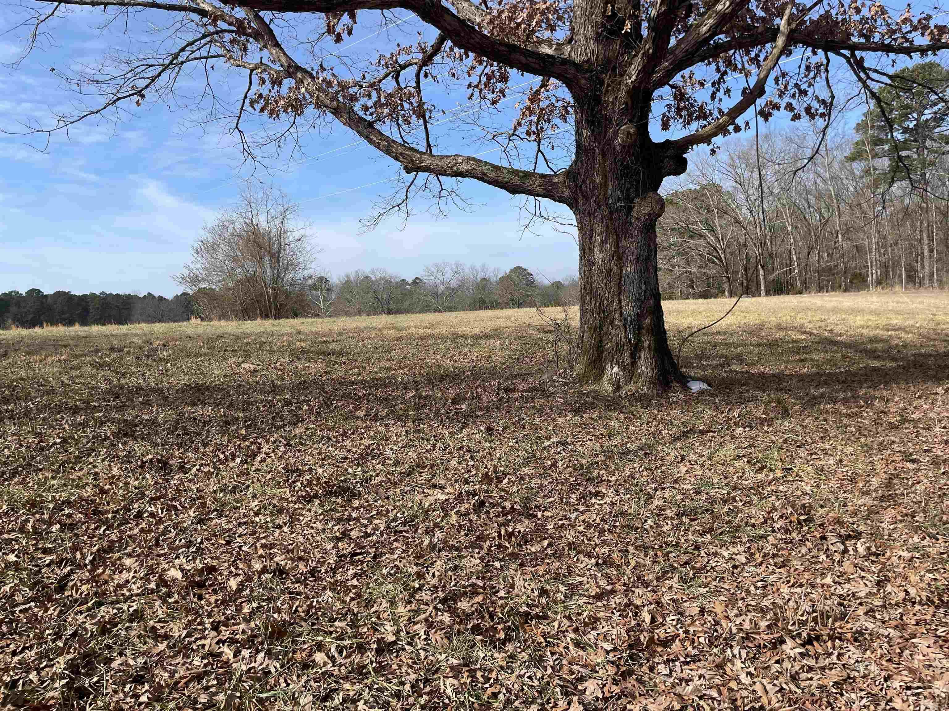 Tumbling Shoals - Land