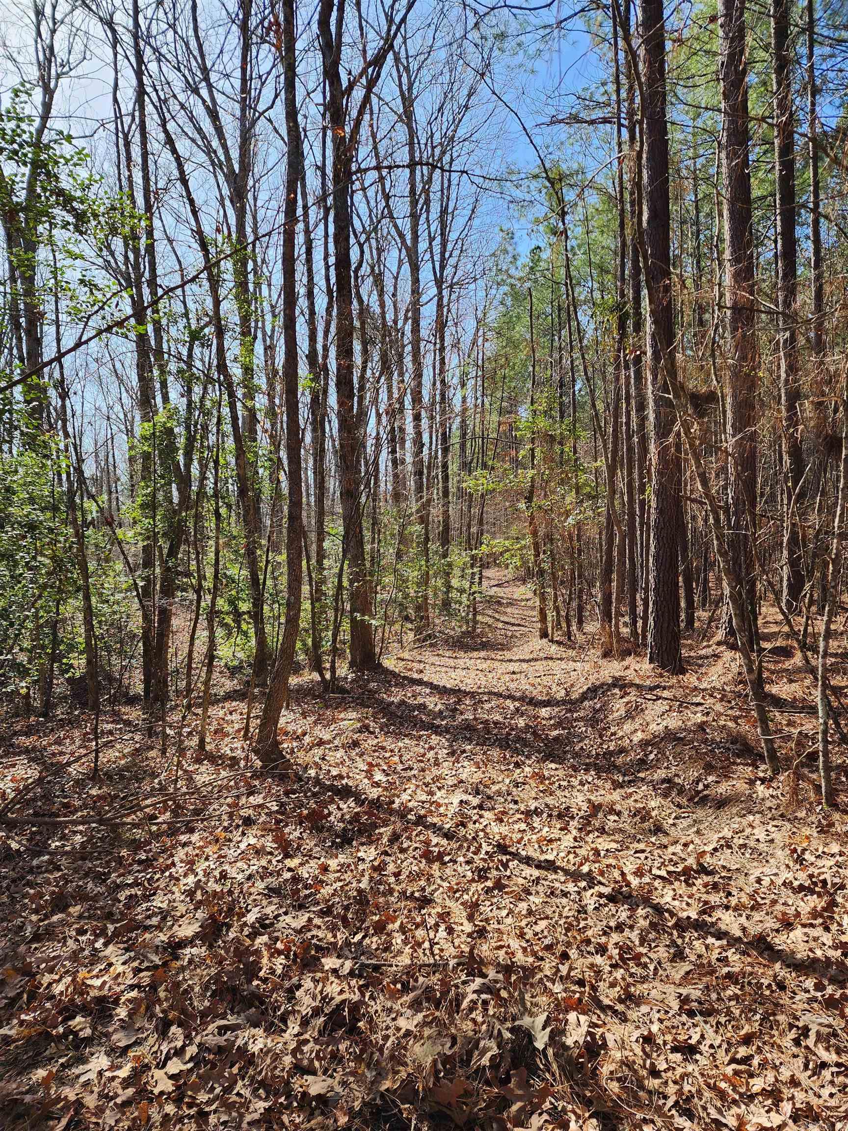 Metes & Bounds - Land