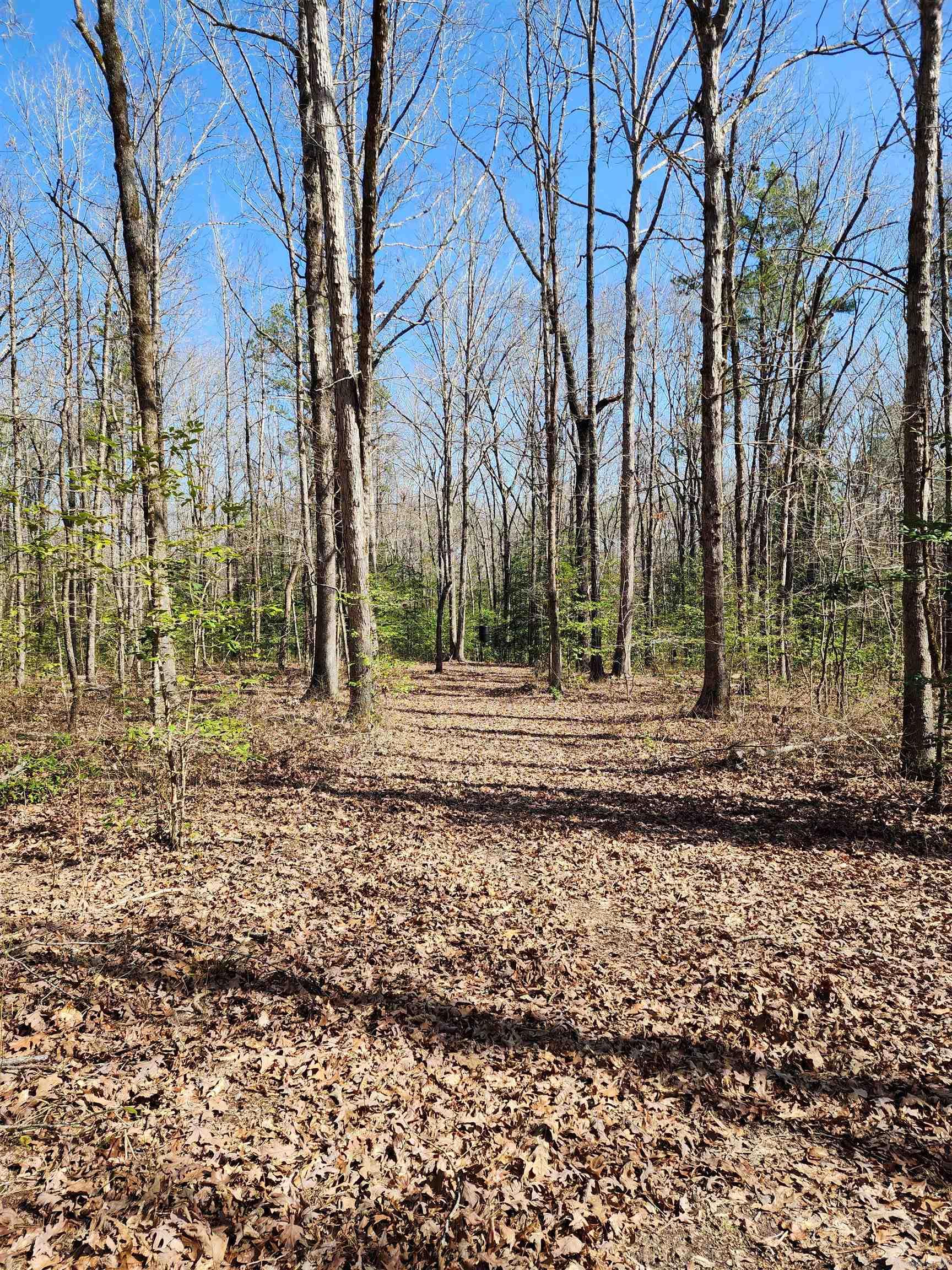 Metes & Bounds - Land