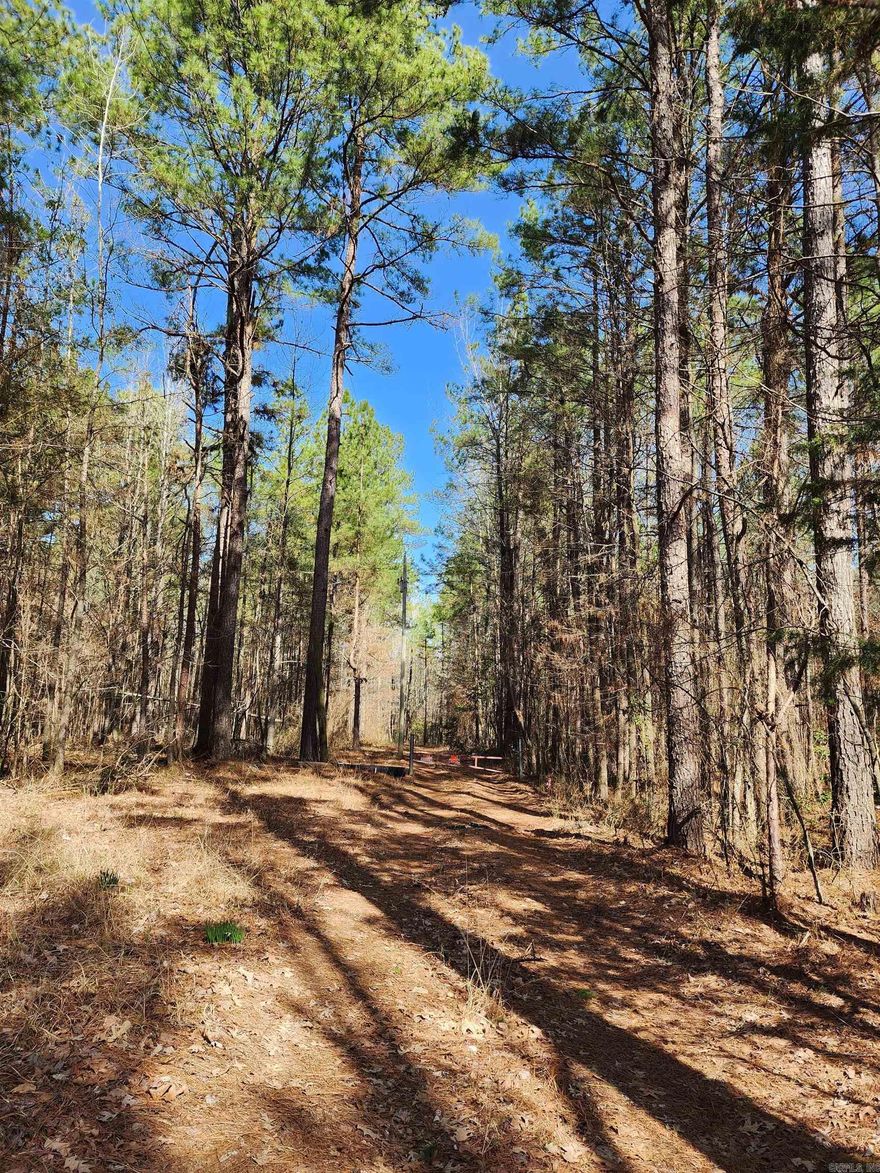 22.19 acres of hunter's paradise! Seasonal creek that runs through it & plenty of deer & turkeys. Mature Hardwood & Pine. Electric is run to the property and other utilities are available at road.