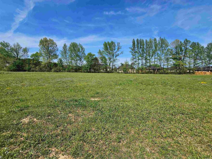 Welcome to a growing community in Ward offering ready-to-build 1-acre homesites that blend space, privacy, and convenience. Located in a rapidly developing area, this subdivision provides the perfect setting to build your dream home with easy access to nearby amenities. Don’t miss your chance to secure your place in this sought-after location! Agents see remarks.