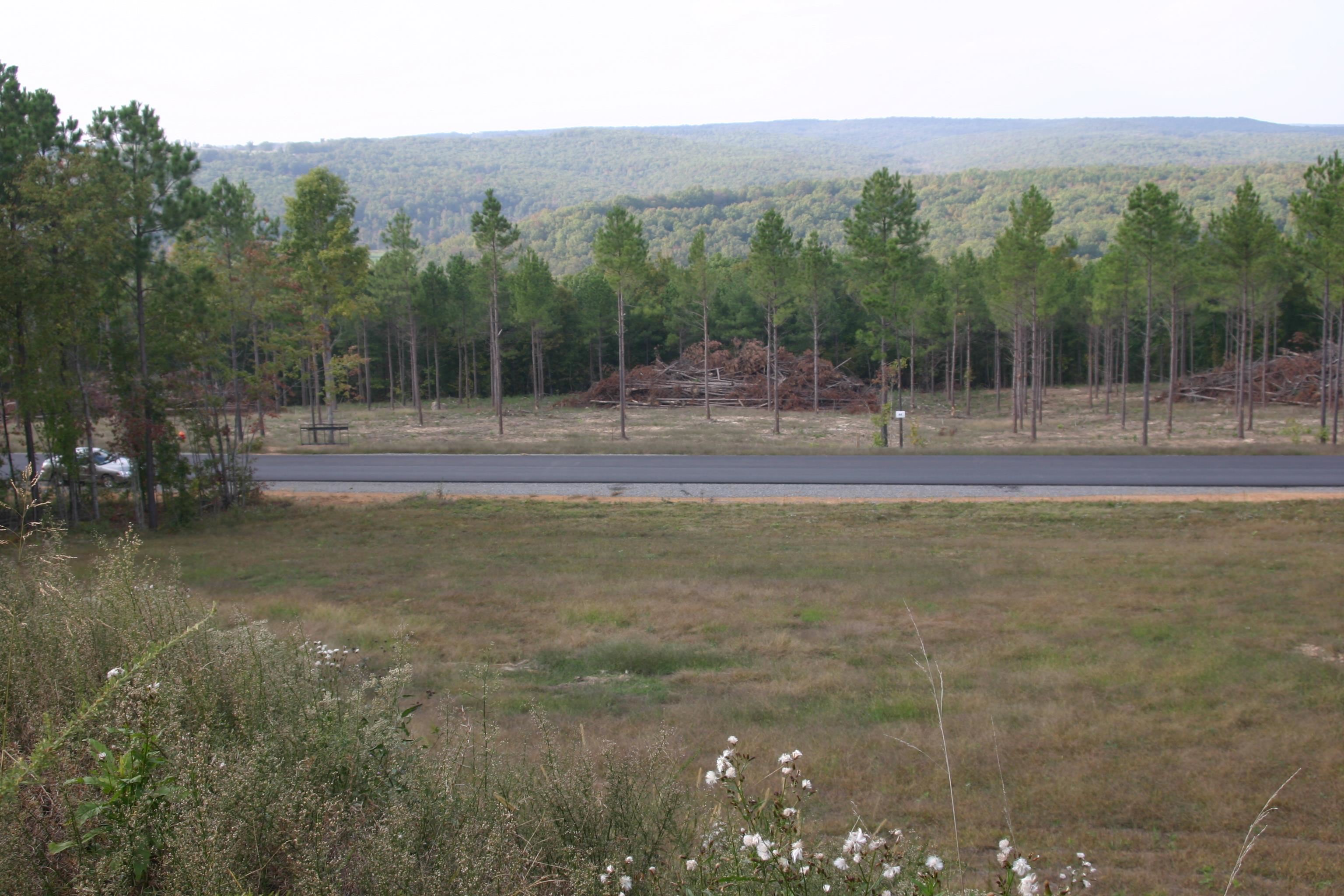 Holley Mountain Airpark - Land