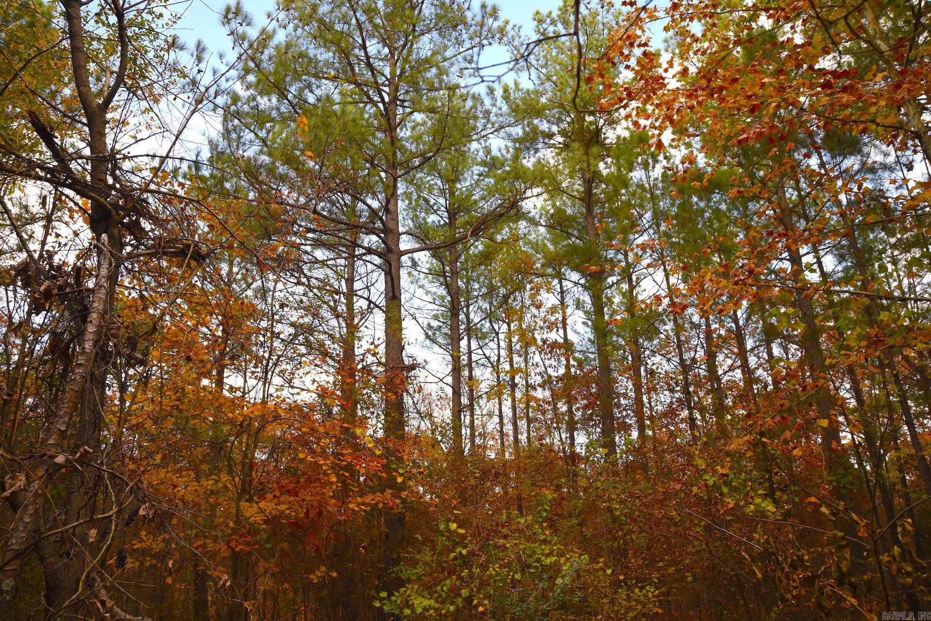 Holley Mountain Airpark - Land