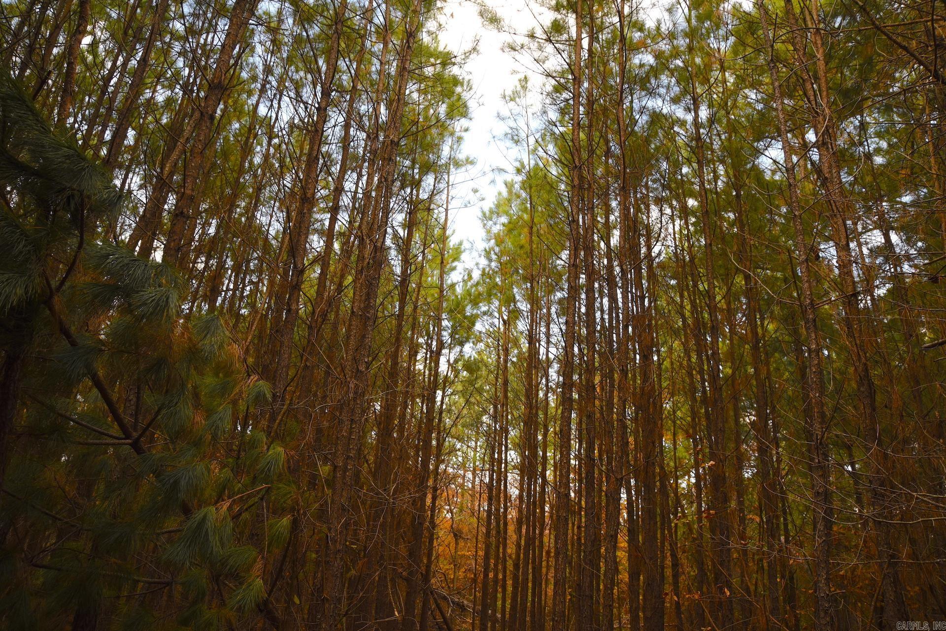 Holley Mountain Airpark - Land