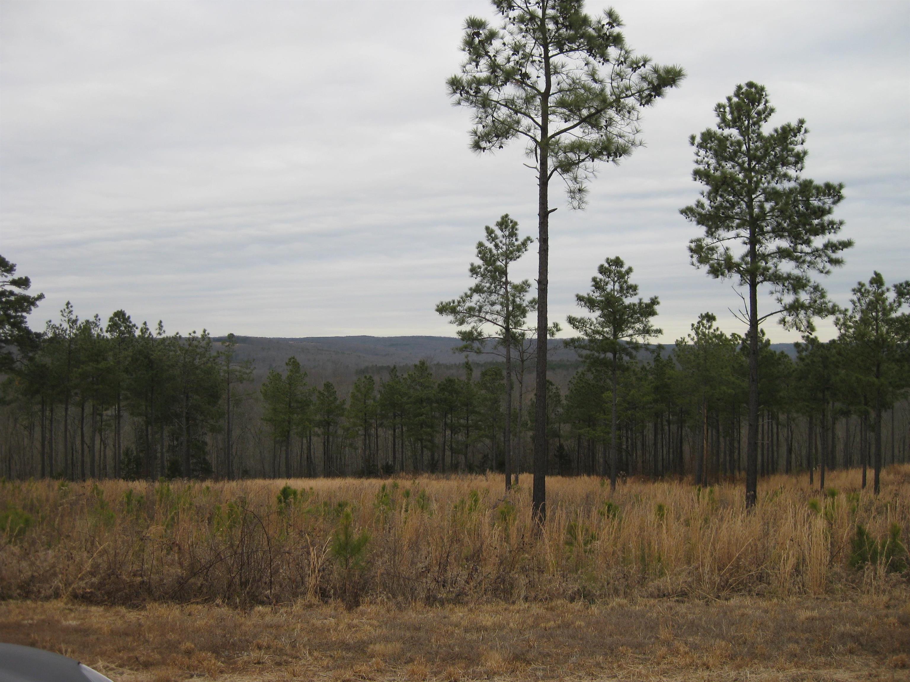 Holley Mountain Airpark - Land