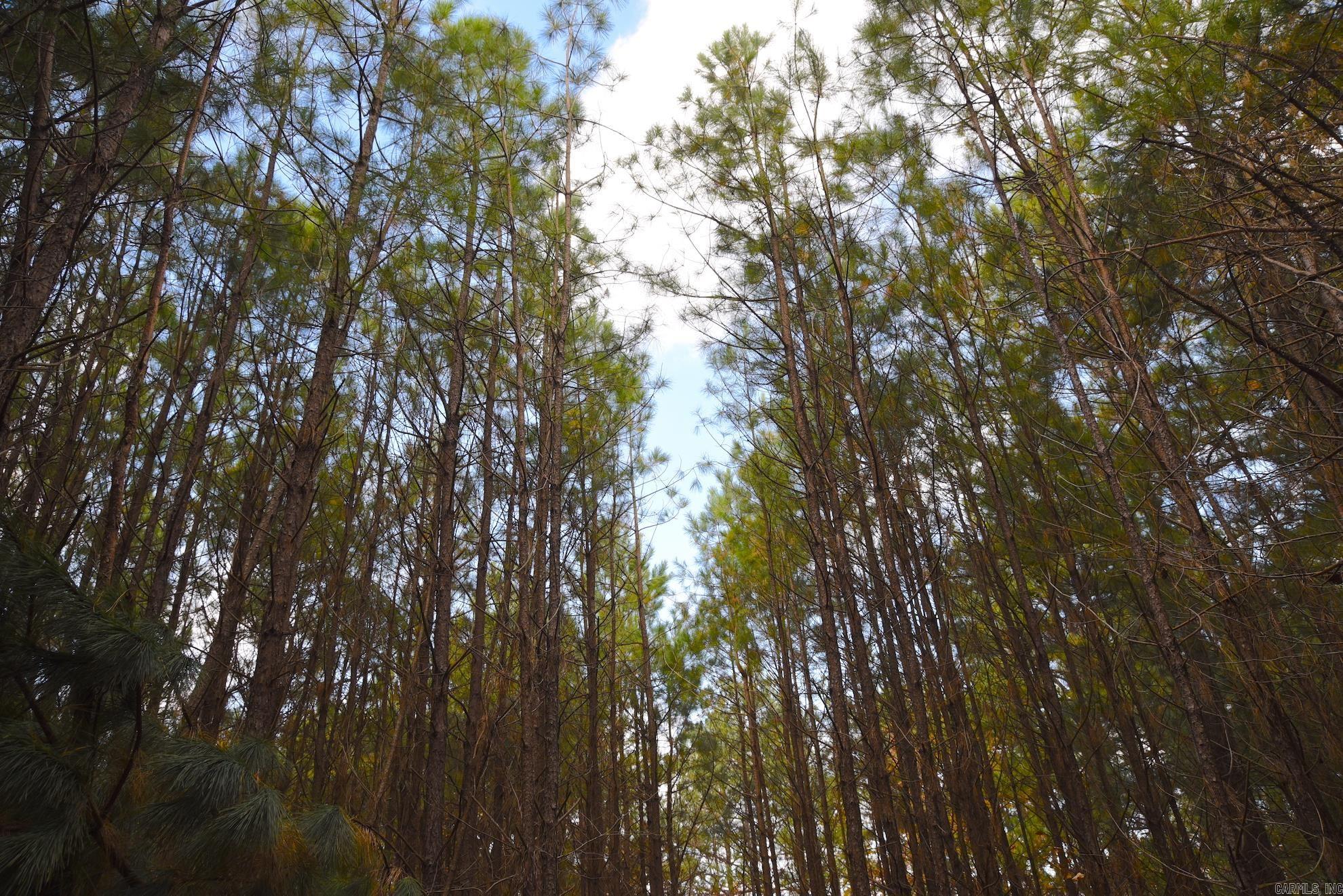 Holley Mountain Airpark - Land