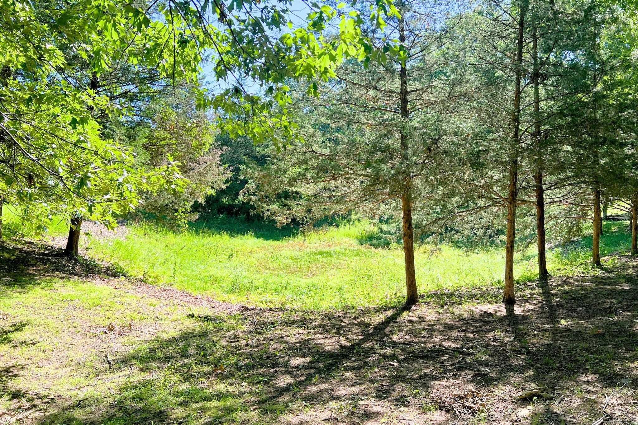 Mountain Home - Residential