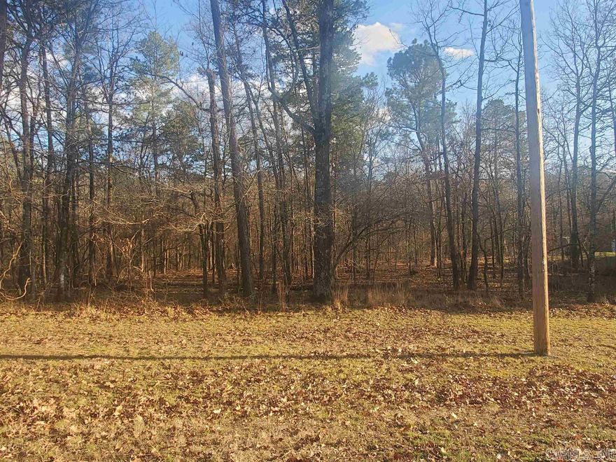 Nice sized level lot on a quiet cul de sac.  Lakeside school district.  Fun gated community with 18 hole golf course, Olympic size swimming pool, tennis court, basketball court, disc golf course, picnic pavilion, restaurant, workout facility, banquet room, clubhouse, 2 boat launch/lake access points.  Diamondhead Gated Community is bordered by award winning Lake Catherine State Park and the peaceful Lake Catherine.