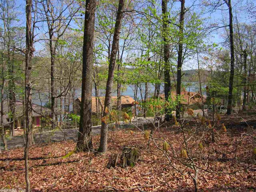 ACROSS STREET FROM LAKE CORTEZ!  Nice view of Lake!  Upslope then almost flat lot, great for building a wonderful home....if not enough land, then purchase the property next door as well! (mls # 10384729)  Both lots are owned by the same residents and on the market now...possible deal if want to purchase both!  great area, great lake, with beautiful homes throughout.