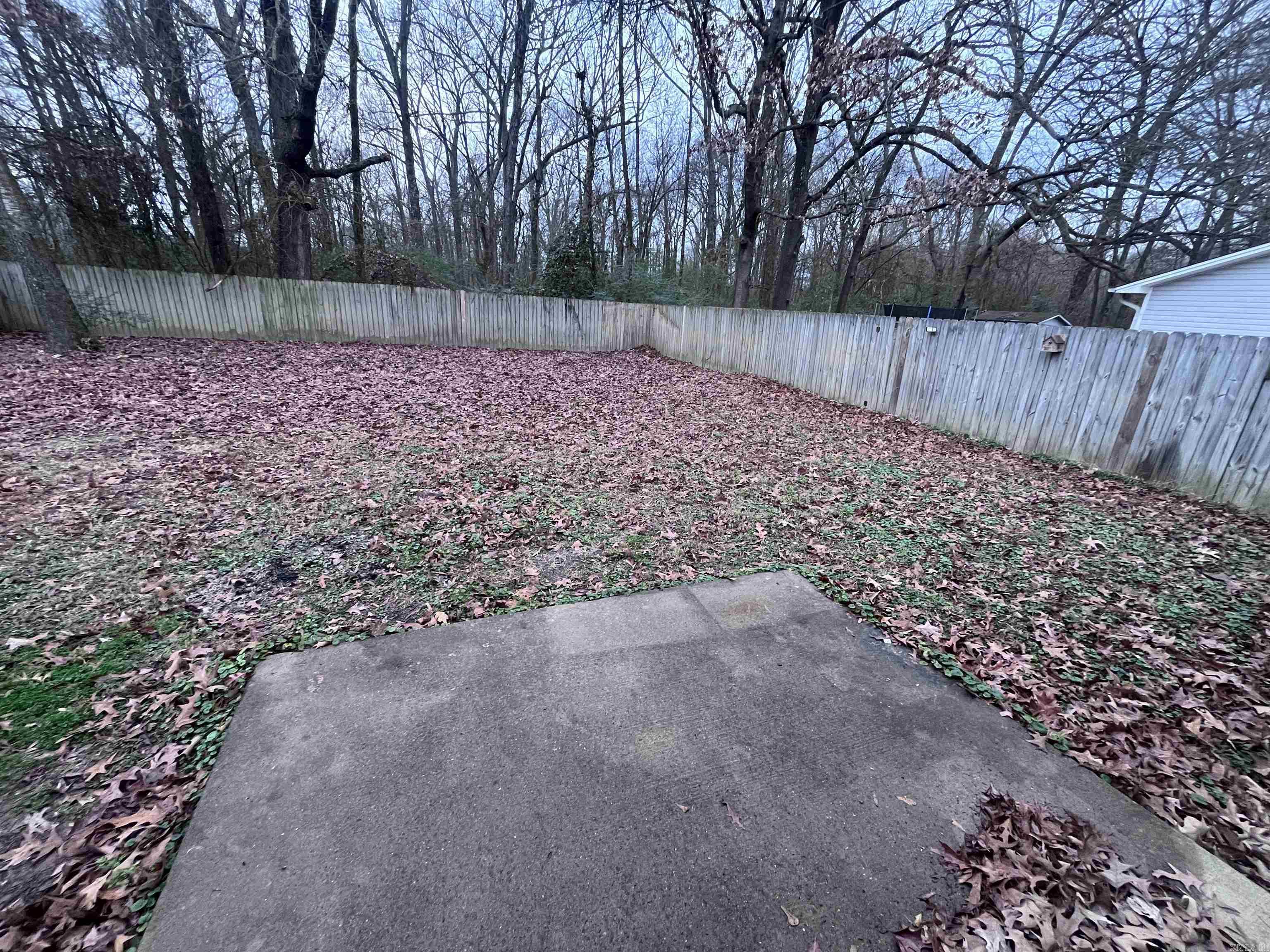 Mattie Lene I - Residential Lease