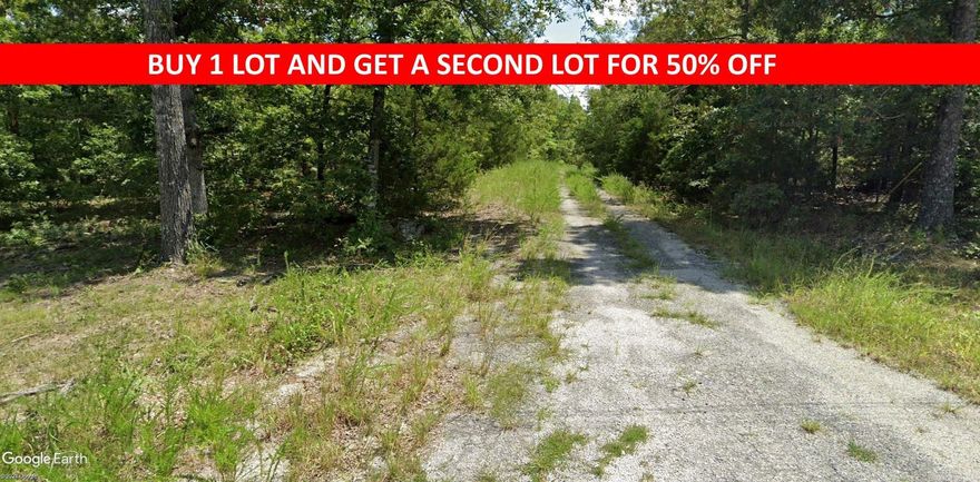 Buy one lot and get 50% off an additional lot! Owner-finance for easy terms. Cash buyers can pay by debit or credit card as well. Nice lot to develop or hold for future value. Public water and electric are available to run to property and will need septic. Owner/agent. No mobiles allowed. 300-2500 minimum build size on any other type of home, depending on subdivision. Finance is 5 months at $194 and closing costs are included. Lots marked with red banner are part of promotion. No limit on lots. Buyer responsible for any/all taxes and lots sold "as-is". Quit claim deed conveys. Parcel ID# 405-21487-000