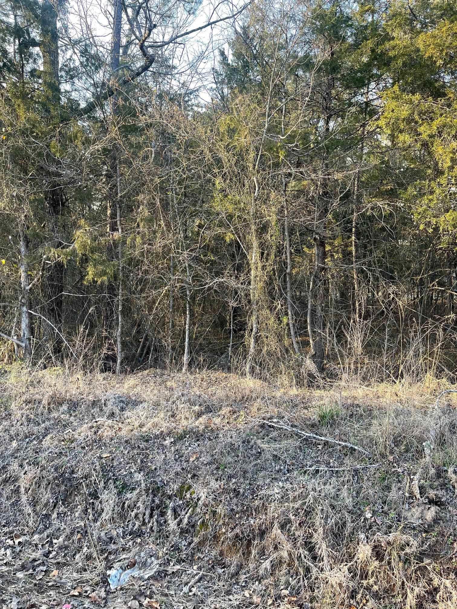 Sills Peninsula - Land