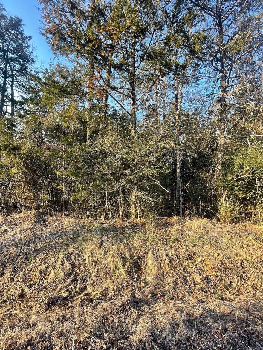 Level, wooded lot, with boat launch around the corner. At this price, it won't last long. Check it out today.