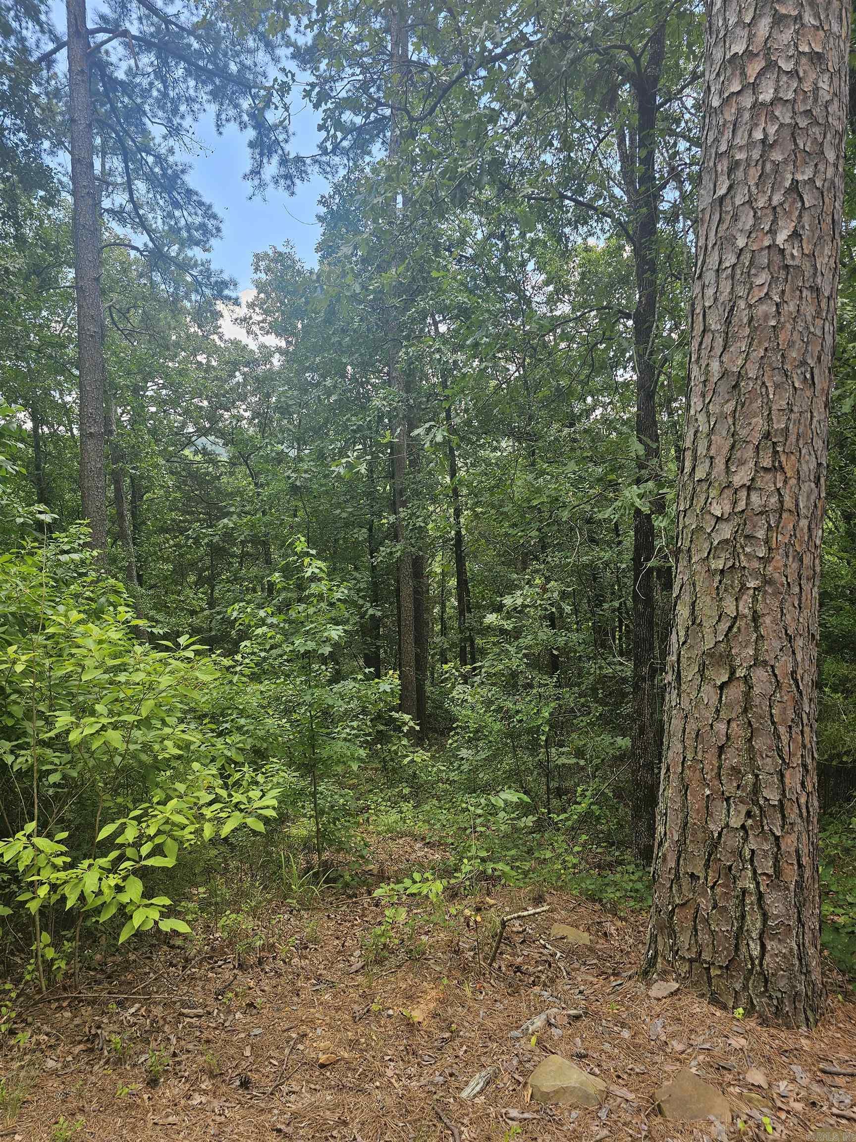 Perry Replat - Residential