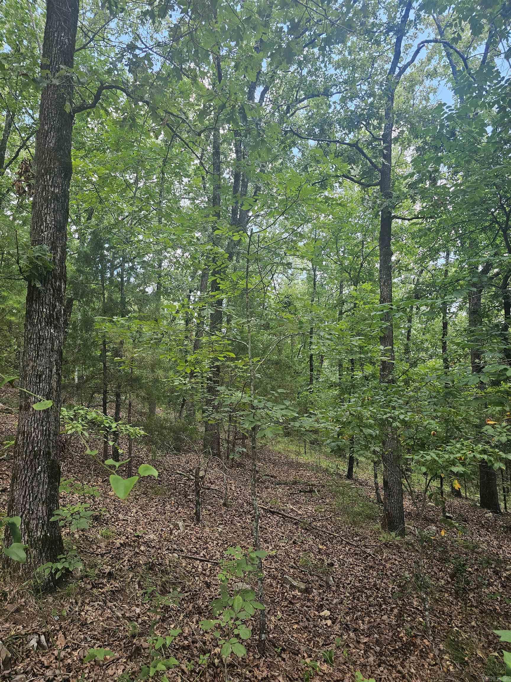 Perry Replat - Residential