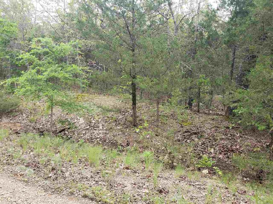 Very Nice lot in a good location, lots of woods and very secluded, only one close neighbor but none in sight from the lot. Really nice slope could make for some beautiful views over a valley or even hilltop vista views. Wonderful secluded location with almost no neighbors. Come pick out your building spot on this wonderful lot in beautiful Cherokee Village. Enjoy the 7 lakes and two 18 hole golf courses. Hunting, fishing, golfing, skiing, tubing canoeing Cherokee Village has it all.