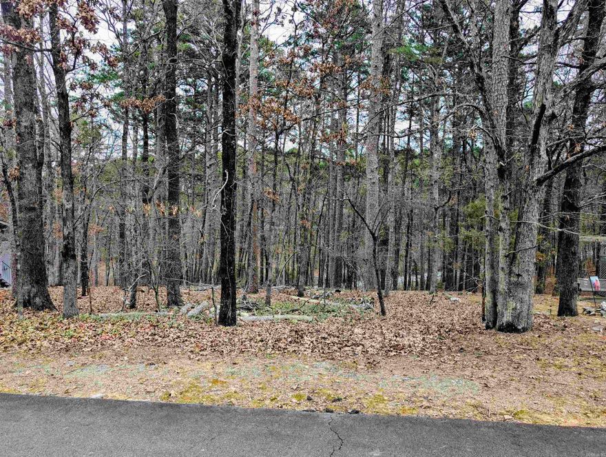 Wooded and build-ready, this premium lot in Hot Springs Village with Mountain Views offers the perfect setting for your dream home just steps from premier recreation. Located close to one of HSV’s most beloved fairways and scenic views-DeSoto Golf Course. Ideally positioned near the West Gate, you’re also close to abundant amenities beyond the gate, including shopping, dining, medical services and more. Surrounded by mature trees and natural beauty, this private parcel combines convenience and country charm in one of Arkansas’ most desirable resort-style communities. Don’t miss your chance to secure this exceptional location!