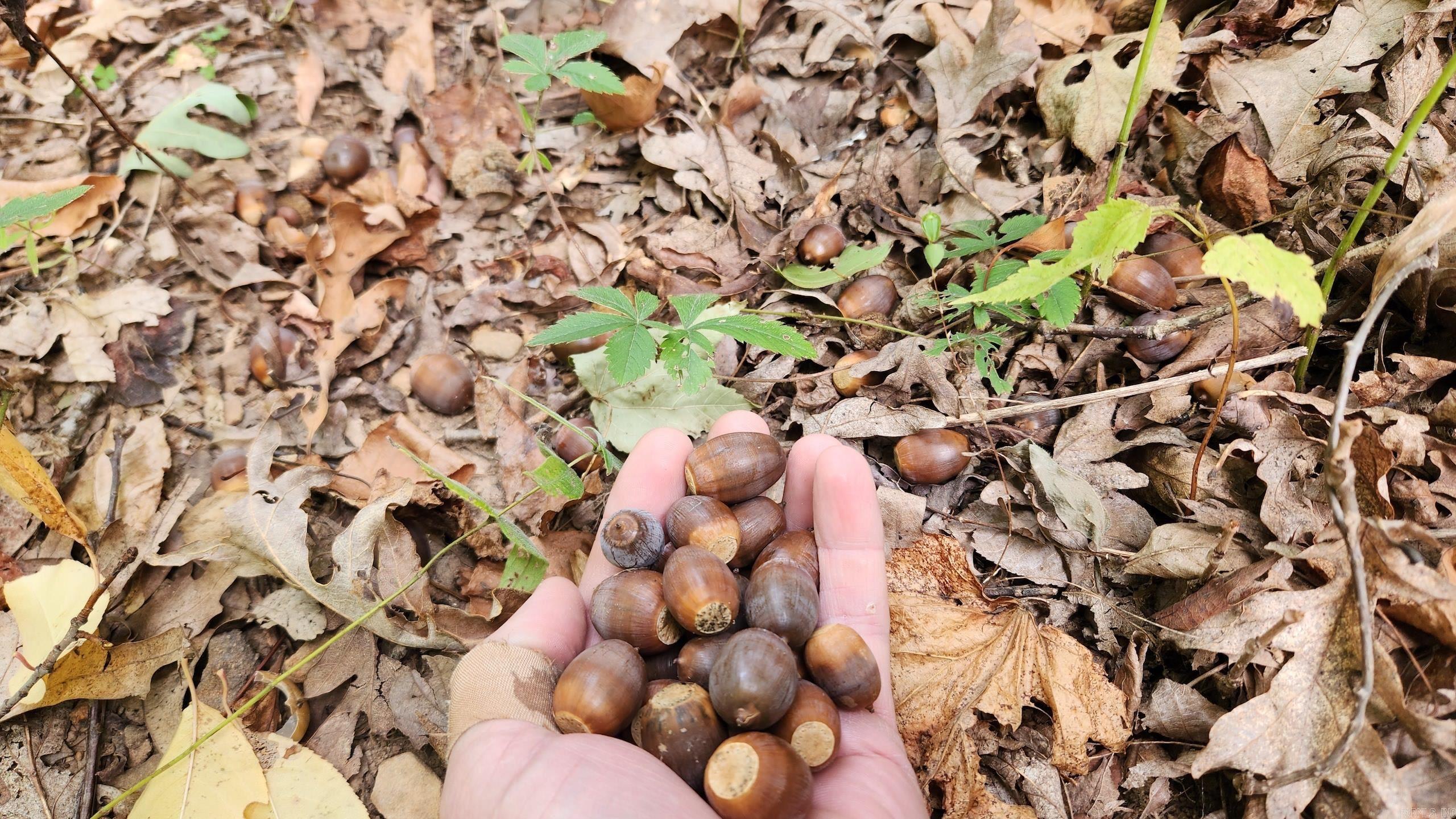 Not in Subdivision - Land