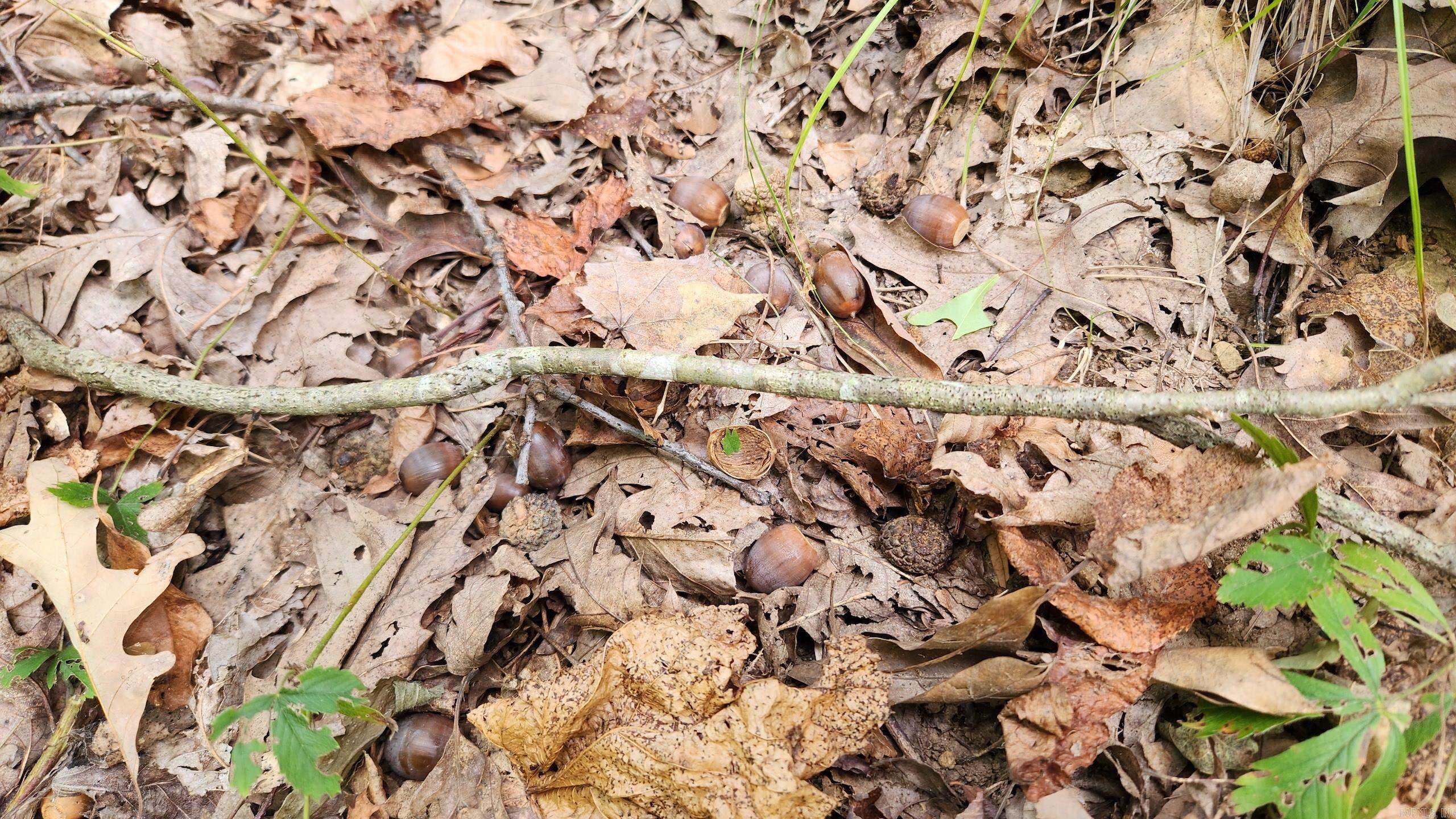 Not in Subdivision - Land