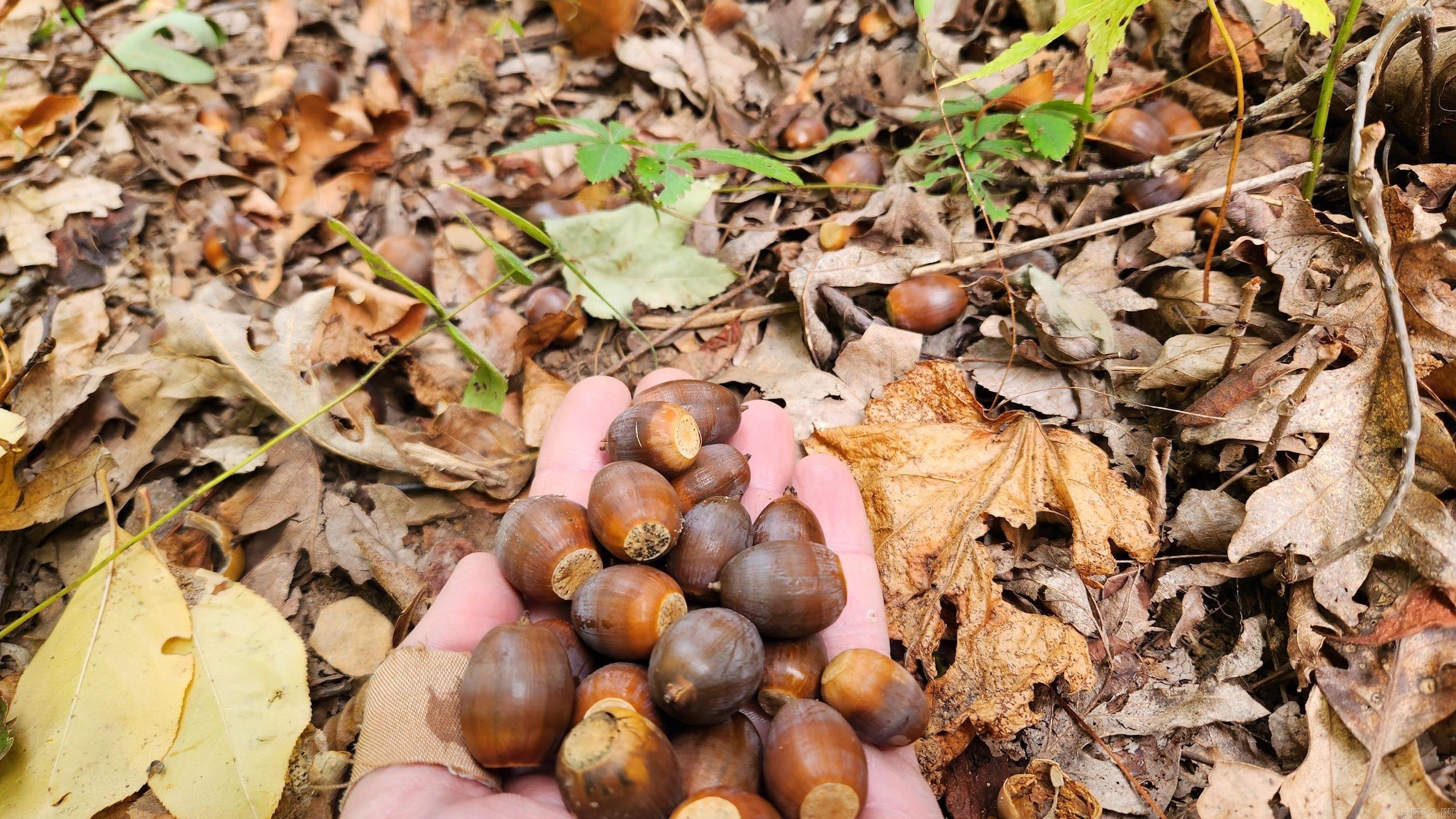 Not in Subdivision - Land