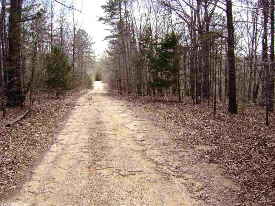 This property has marketable timber and is ready for harvest. This property also has a quarry that could bring some income. Not large but has good gravel in it about 2 acres. Acreage is Approximate and rounded down.