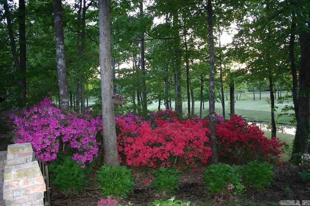 CHENAL VALLEY DUCLAIR COURT - Residential