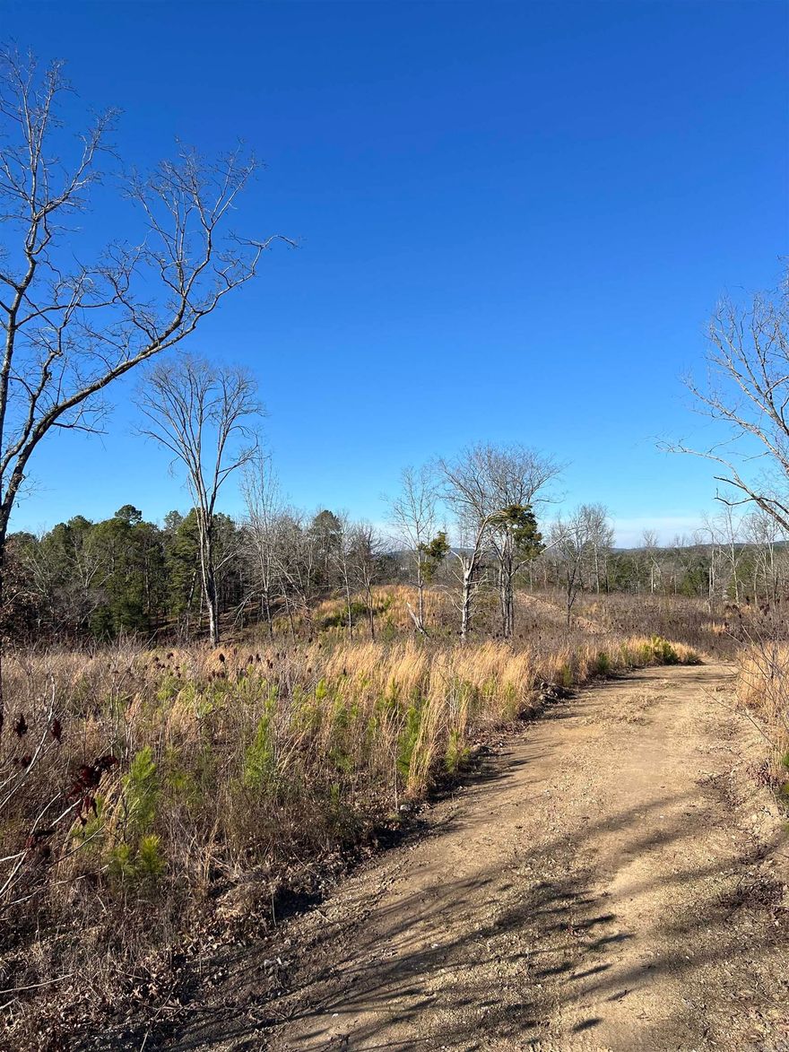 Prime 30 Acres on Stardust Trail – Hot Springs, AR  Rare opportunity to own 30 acres of rolling, scenic land just minutes from Hot Springs. Features elevation changes with great building sites, mature hardwoods, and a well-established road providing easy access throughout the property. Ideal for multiple homes, development, a private estate, or investment. A perfect blend of privacy, accessibility, and Arkansas natural beauty.