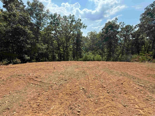 ADDRESS PRIVATE, INDIAN ROCK, AR  - Image bd988fc972adc04779eabdb5d968bbd0/2578951569
