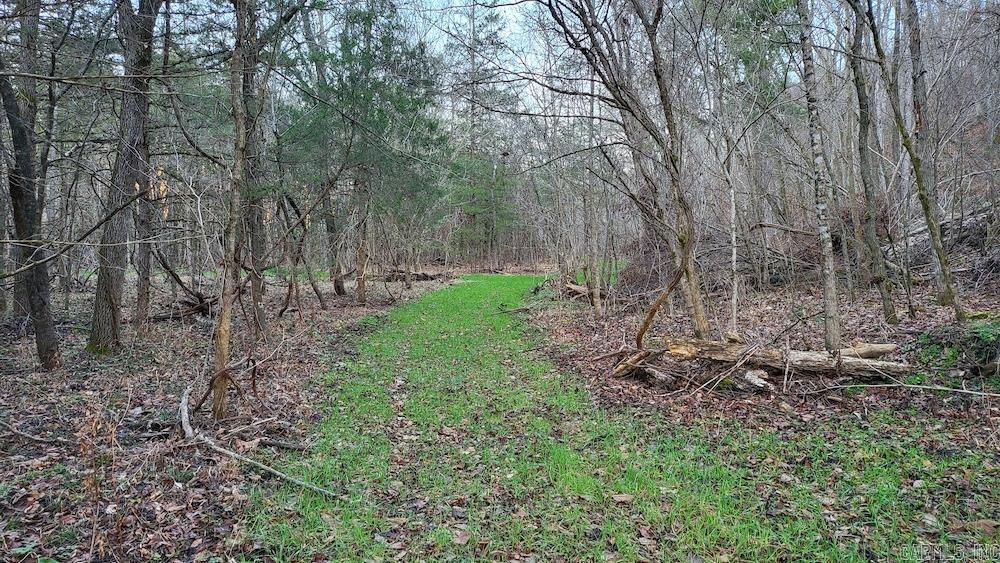Not in Subdivision - Land