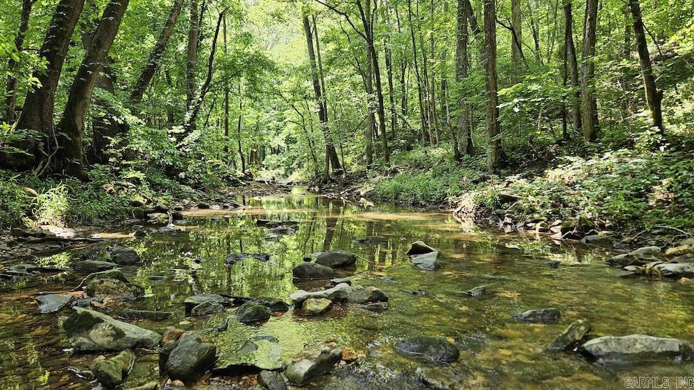 This excellent hunting tract in the heart of the Ozarks offers incredible opportunities for the serious hunter. Located near Bear Creek and just a few miles from the Buffalo National River, the area is rich with wildlife including bear, deer, turkey, and a dense elk population—recent monster bulls have been harvested less than 2 miles away. The property includes electric on-site, deeded access to city water less than 300' away, a newly built concrete low-water bridge, and miles of trails with erosion control plantings. There’s a small pond, multiple building sites with stunning views, and excellent habitat with cedar thickets, dense pine, brush, and mature timber stands. A secluded valley with spring-fed Spyder Creek winds through the land, attracting deer and providing a beautiful natural feature. Numerous hunting setups span ridge tops, saddles, and draws, ideal for bow or gun hunting. With easy access off a county road, deeded easements, and flat ridges perfect for food plots, this tract is a true field of dreams for big game hunting. Don’t miss out—schedule your private showing today!
