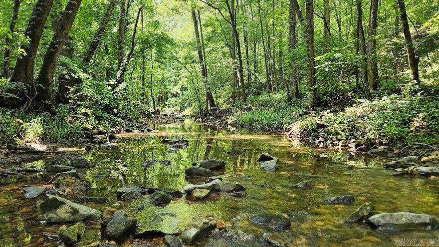 This excellent hunting tract in the heart of the Ozarks offers incredible opportunities for the serious hunter. Located near Bear Creek and just a few miles from the Buffalo National River, the area is rich with wildlife including bear, deer, turkey, and a dense elk population—recent monster bulls have been harvested less than 2 miles away. The property includes electric on-site, deeded access to city water less than 300' away, a newly built concrete low-water bridge, and miles of trails with erosion control plantings. There’s a small pond, multiple building sites with stunning views, and excellent habitat with cedar thickets, dense pine, brush, and mature timber stands. A secluded valley with spring-fed Spyder Creek winds through the land, attracting deer and providing a beautiful natural feature. Numerous hunting setups span ridge tops, saddles, and draws, ideal for bow or gun hunting. With easy access off a county road, deeded easements, and flat ridges perfect for food plots, this tract is a true field of dreams for big game hunting. Don’t miss out—schedule your private showing today!