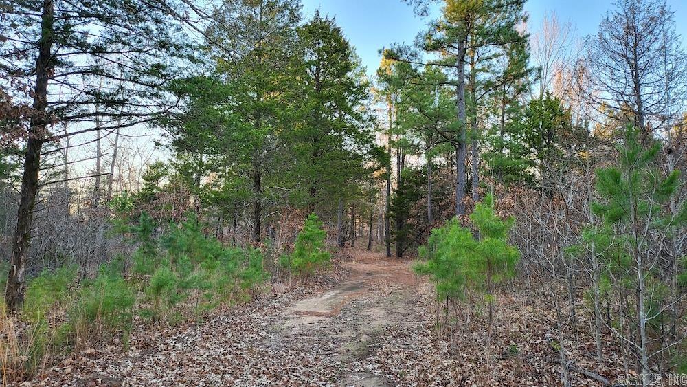 Not in Subdivision - Land