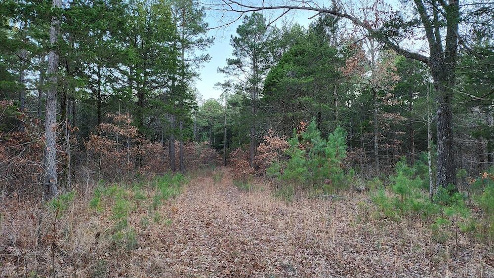 Not in Subdivision - Land