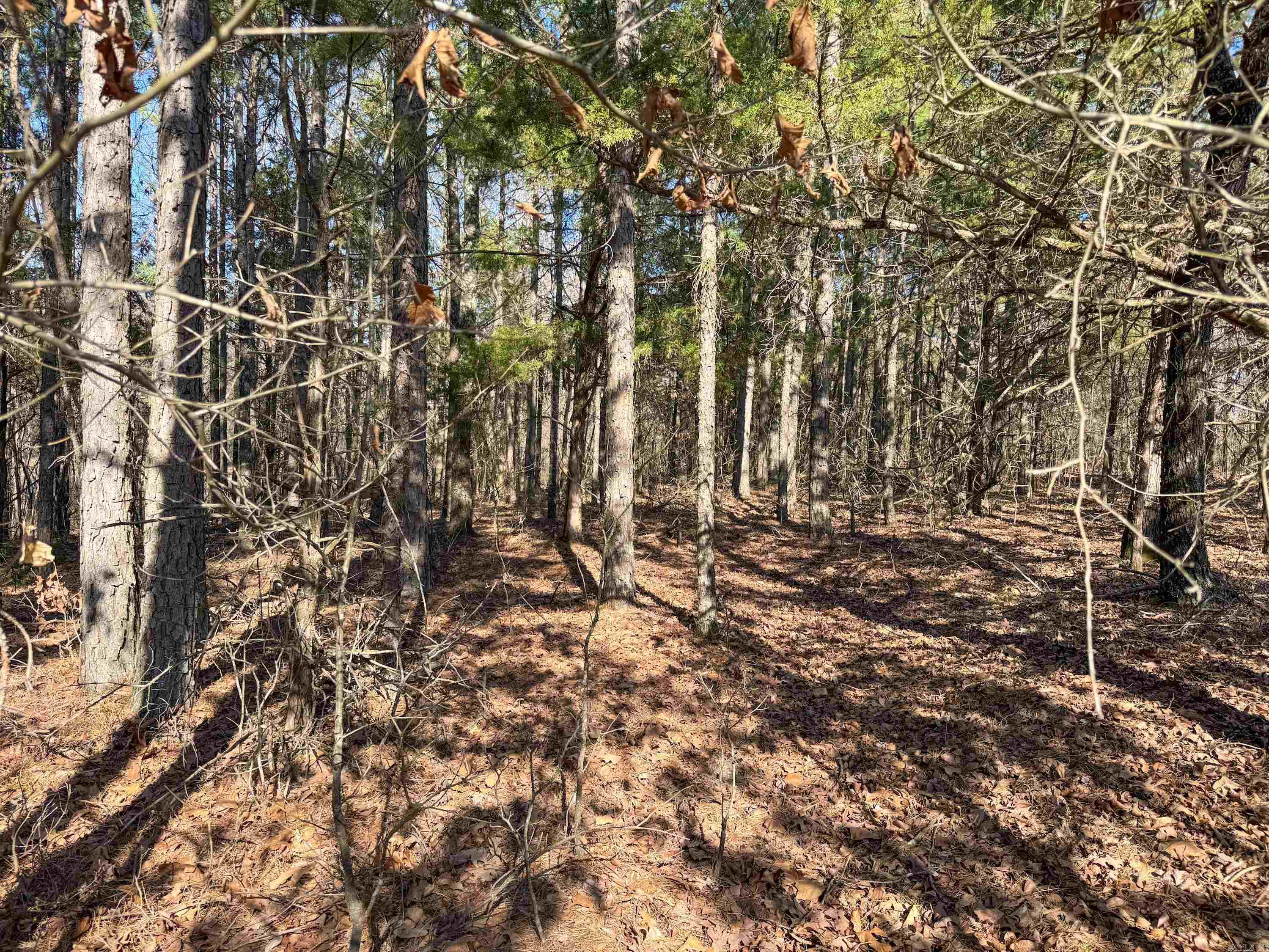 Metes & Bounds - Land