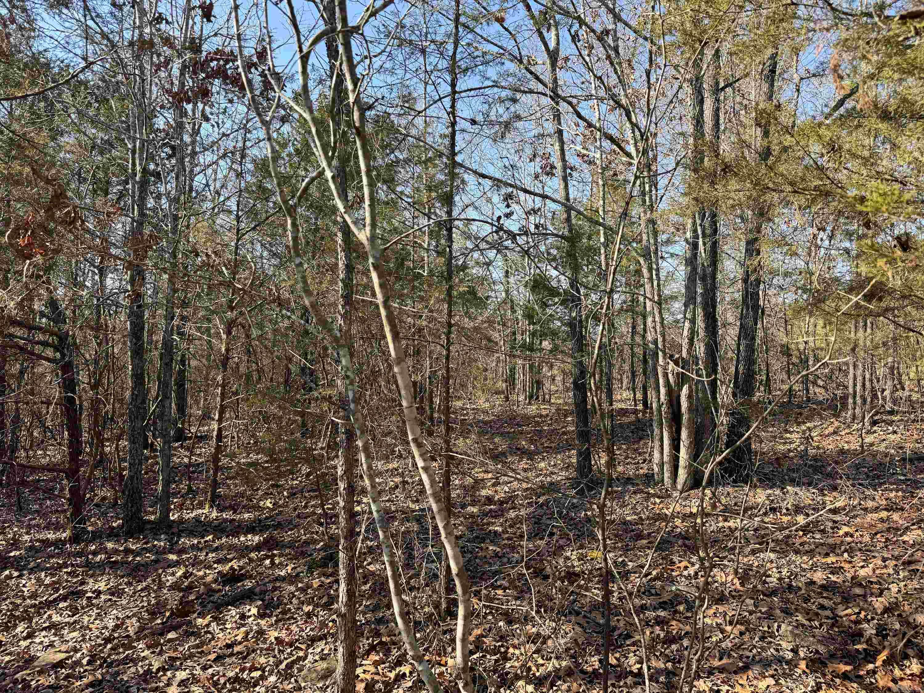 Metes & Bounds - Land