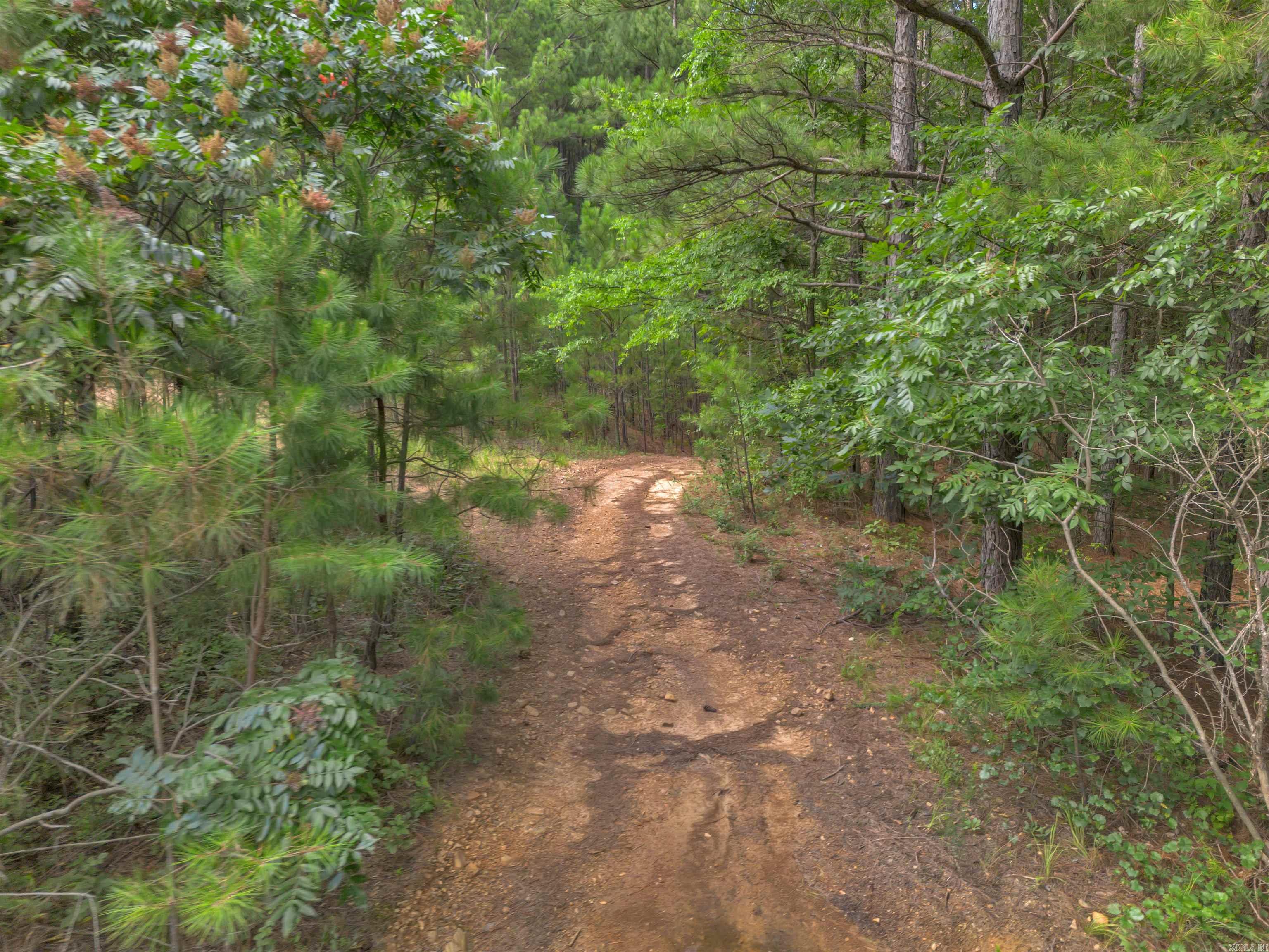 Big Rock Estates - Land