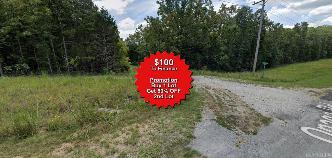 Buy one lot and get 50% off an additional lot! Owner-finance for easy terms. Cash buyers can pay by debit or credit card as well. Nice lot to develop or hold for future value. Public water and electric are available to run to property and will need septic. Owner/agent. No mobiles allowed. 1000 minimum build size on any other type of home, depending on subdivision. Finance is $100 down and 10 months at $99 and closing costs are included. Lots marked with red banner are part of promotion. No limit on lots. Buyer responsible for any/all taxes and lots sold "as-is". Quit claim deed conveys. Parcel ID# 360-20008-000