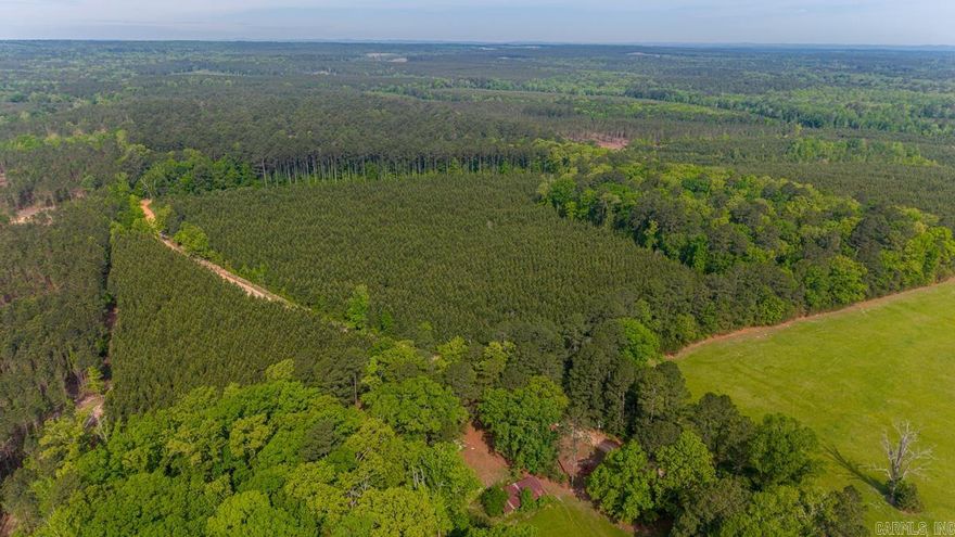Beautiful, wooded tract offering the perfect blend of privacy, recreation, and opportunity! This property is covered in mature timber with a well-established internal trail system, making it easy to navigate and ideal for hunting or exploring. Abundant wildlife including deer and turkey makes this a hunter’s dream, located in Arkansas Game & Fish Zone 12.  Utilities are readily available with Hwy 9 water at the road (currently in use at a neighboring property), and electricity accessible through Entergy on Hendrix Road. For those considering a well, average depth in the area is approximately 30 feet. Survey corners are clearly marked, and existing barbed wire fencing runs along the east and west boundaries, providing added clarity and convenience. Access is easy via a county-maintained road, ensuring reliability year-round. The adjoining northern property is owned by a timber company and leased to HP Hunting Club, with the potential for the new owner to join and gain access to approximately 2,000 additional acres of hunting land. Whether you’re looking for a private retreat, hunting property, or future homesite, this land offers endless possibilities in a peaceful, natural setting.