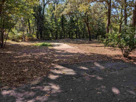 10 TEWA DR, CHEROKEE VILLAGE, AR 72529 - Image bdc8f686dfc3f494395e62eeca6f6e15/1502499405