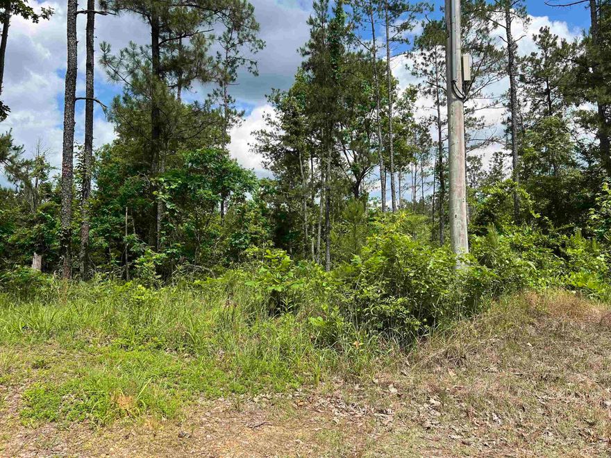 Looking for acreage on paved road very close to two boat ramps,3 miles to Amity landing, Cox creek landing, DeGray Lake. Great place for a vacation cabin or a country home.  2+/- miles from the Caddo river. 4 miles to Amity,  30 minutes from Hot Springs.    This 4.25 acres+/-  is just the place for you.    Public water at the road.