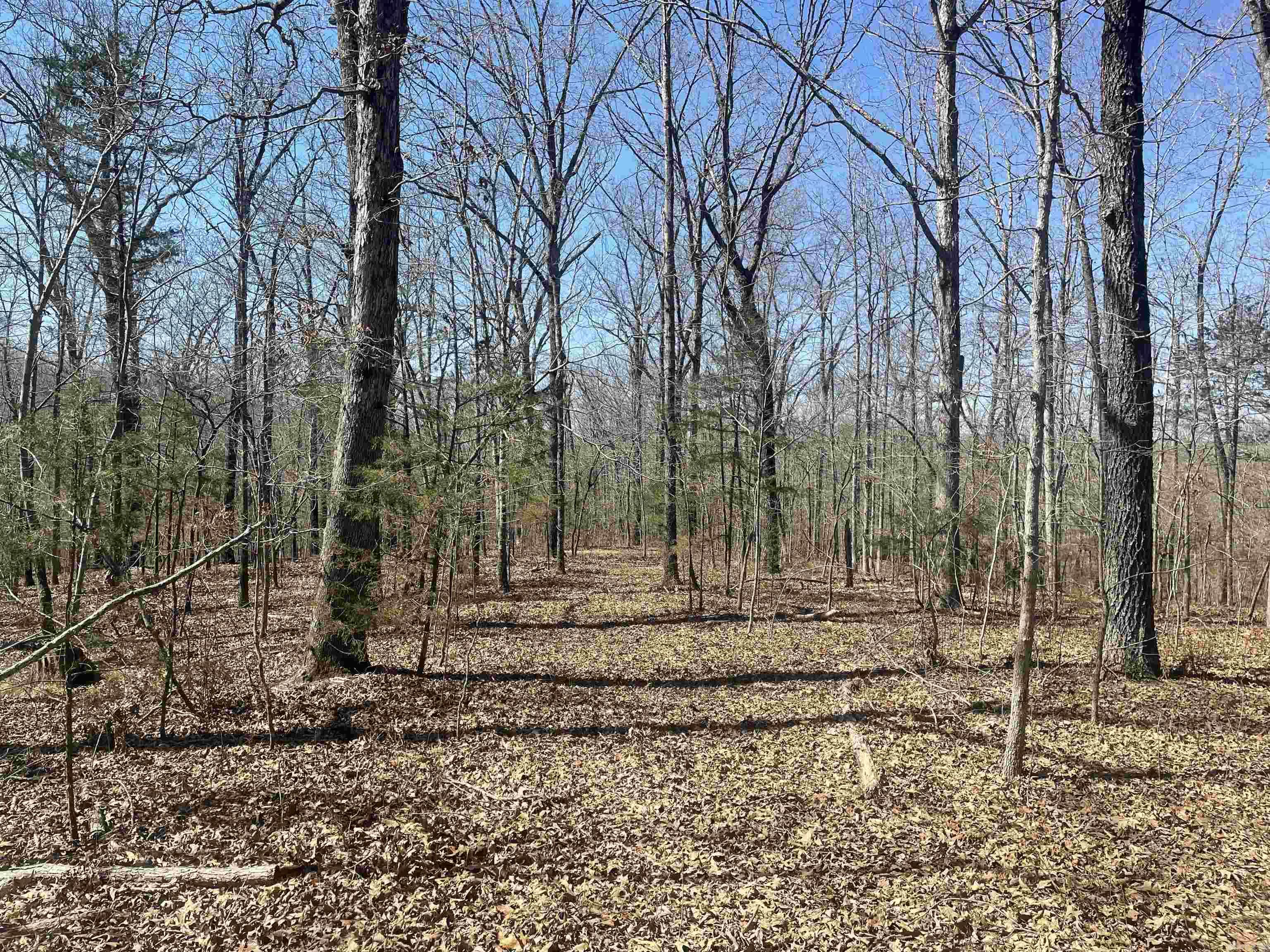 Metes & Bounds - Land