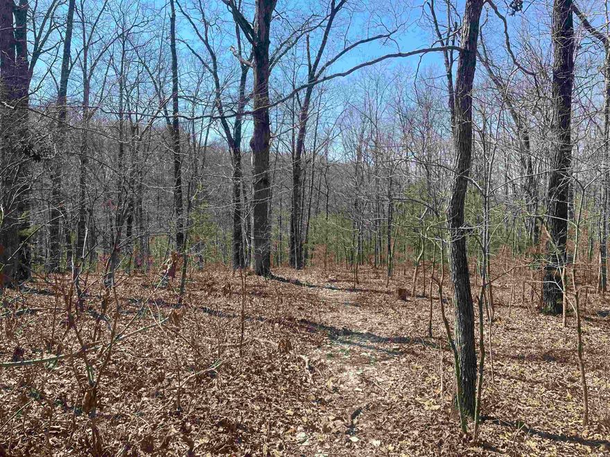 If you have been looing for a building lot with some privacy then this is the one for you. This 2.5 acres m/l is covered in trees and ready for you to build on. Just pick out a spot and start clearing. Lots of flat ground with power and rural water a the road there are a lot of advantages with this piece. Located about halfway between town and the White River there are a lot of possibilities with this one. Call toady for a showing!