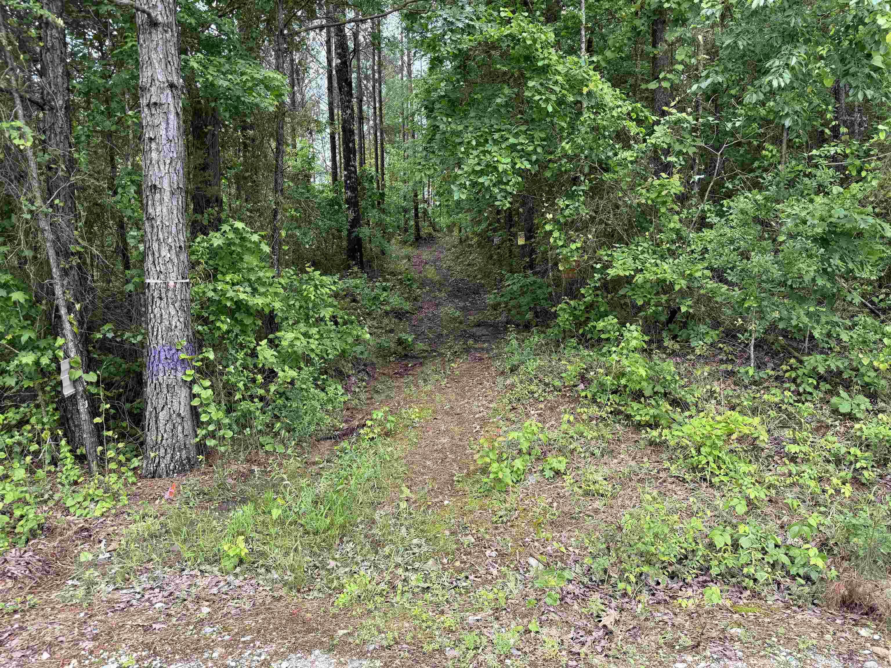 Metes & Bounds - Land